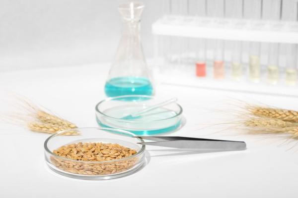Лаборатория для анализа зерна и других сельскохозяйственных культур