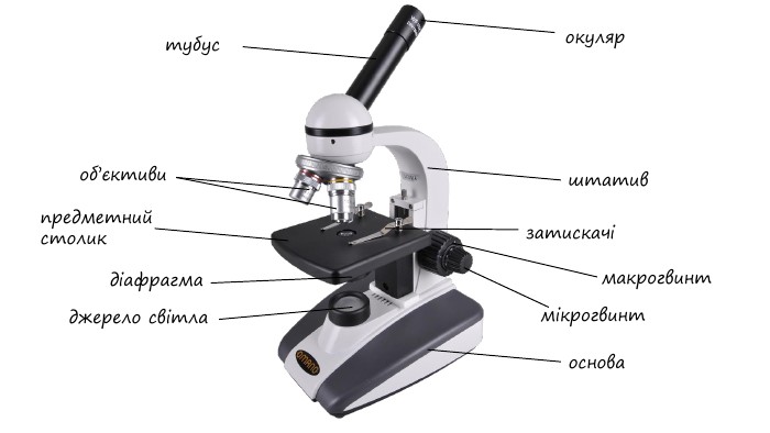 Як вибрати мікроскоп і на що звернути увагу перед покупкою?